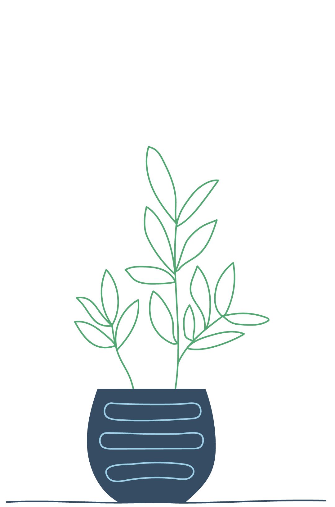 An illustration of the same potted plant that has grown.